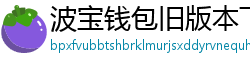 波宝钱包旧版本下载